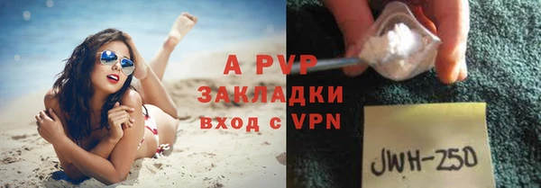 стаф Нефтегорск