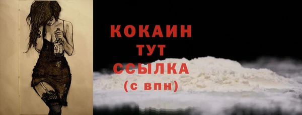 2c-b Горняк