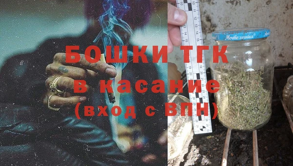 2c-b Горняк