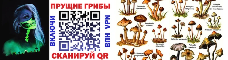Псилоцибиновые грибы Magic Shrooms Демидов